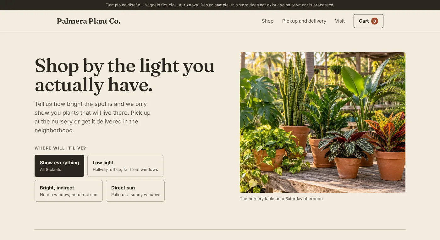 Home page of the Palmera Plant Co. demo store: the headline “Shop by the light you actually have.” with light options and a photo of potted plants on a nursery table.